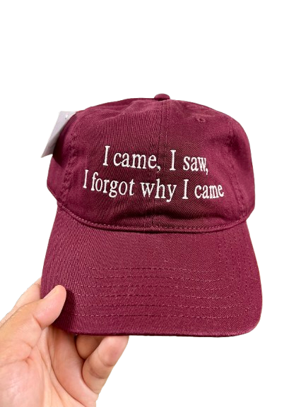 “I Came I Saw I Forgot Why I Came” Embroidered Hat